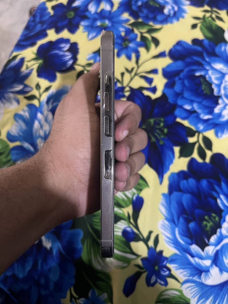 Apple iPhone 13 Pro 3
