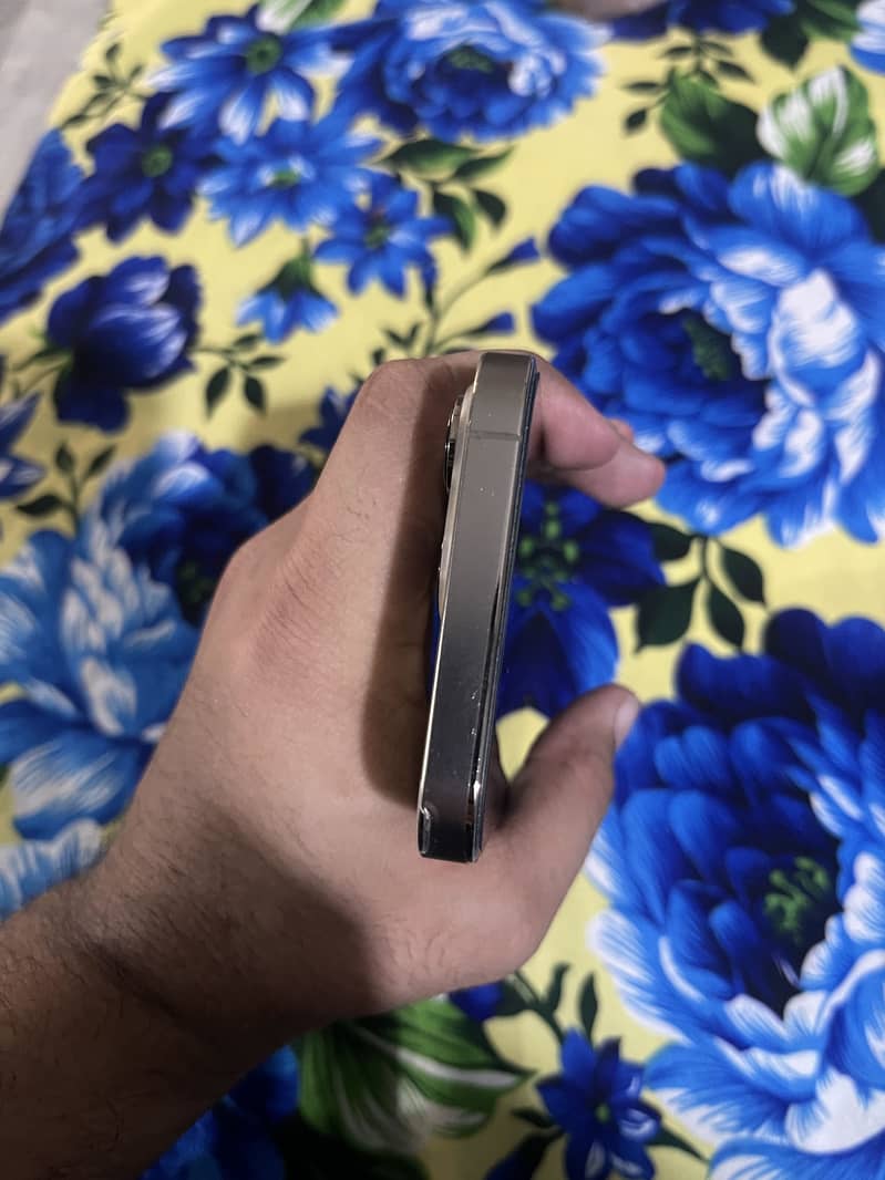 Apple iPhone 13 Pro 4
