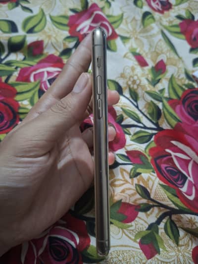 Apple iPhone 11 Pro