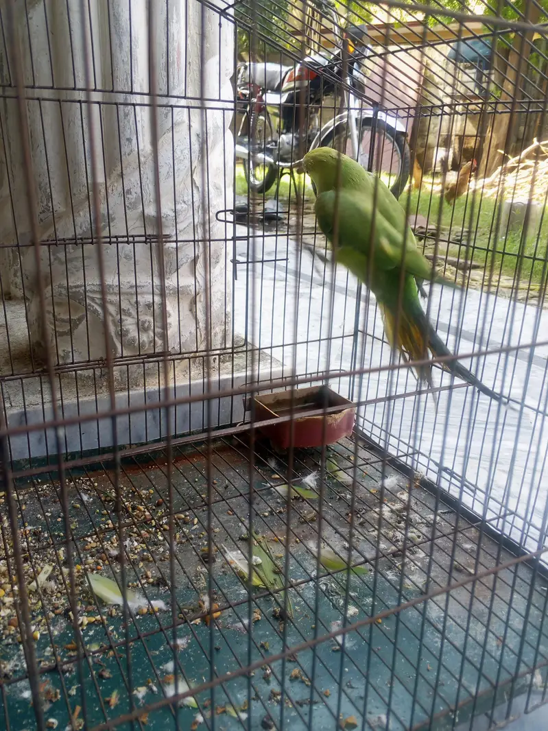 female — photo 2