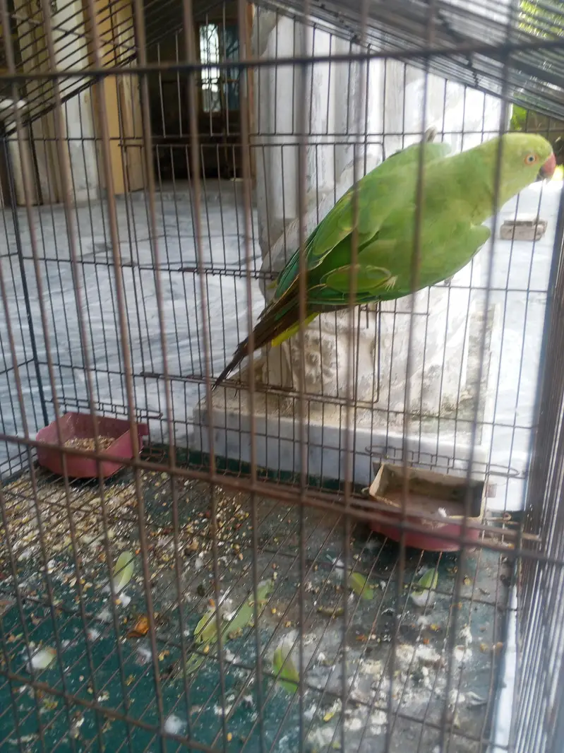 female — photo 3