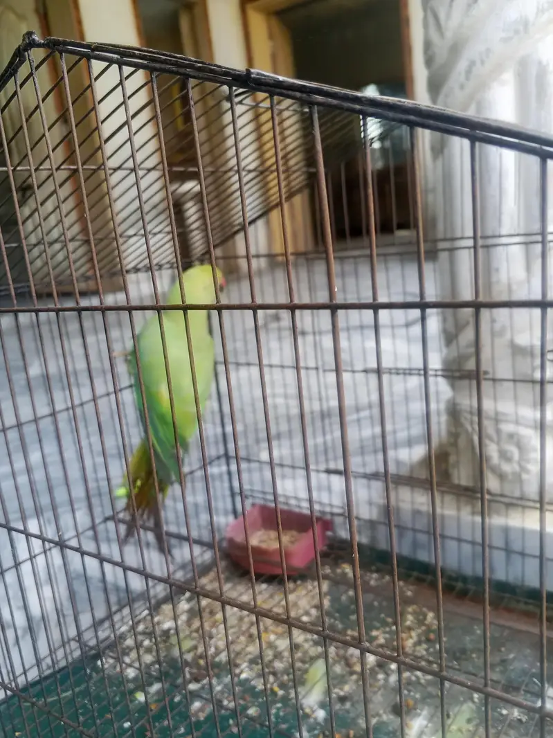 female — photo 4