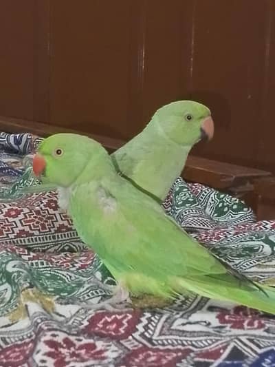 Forsale