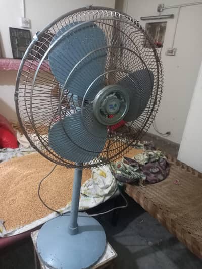 pedestal fans mobile number 3155863349