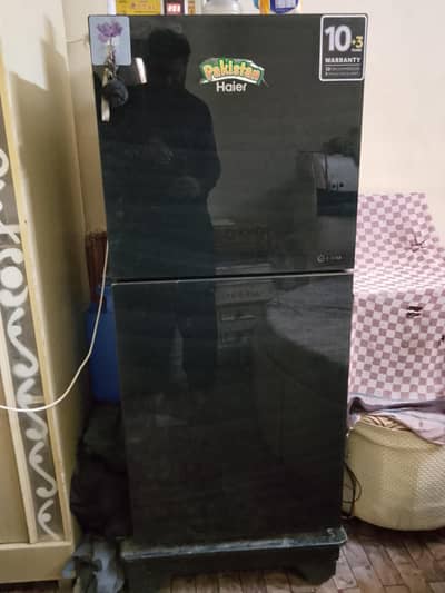 Haier 216 EPB Glass Door Refrigerator 7 CFT