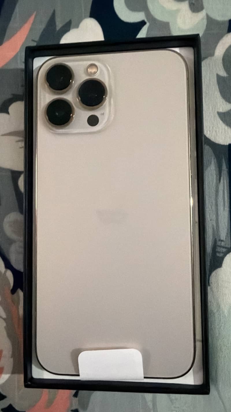 Apple iPhone 13 Pro Max 1