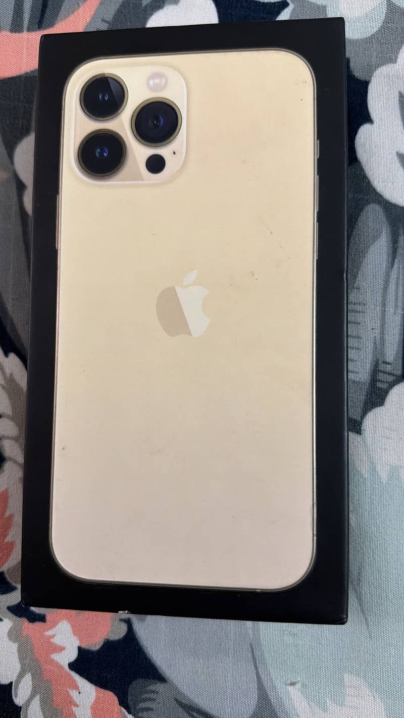 Apple iPhone 13 Pro Max 2