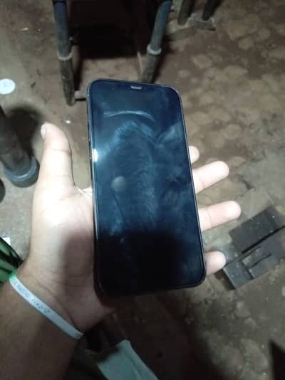 Apple iPhone 12 Pro Max