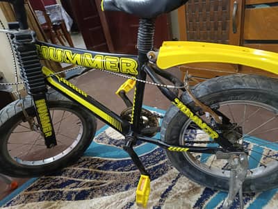Imported Cycle