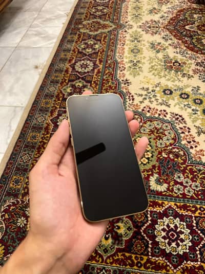 Apple iPhone 13 Pro