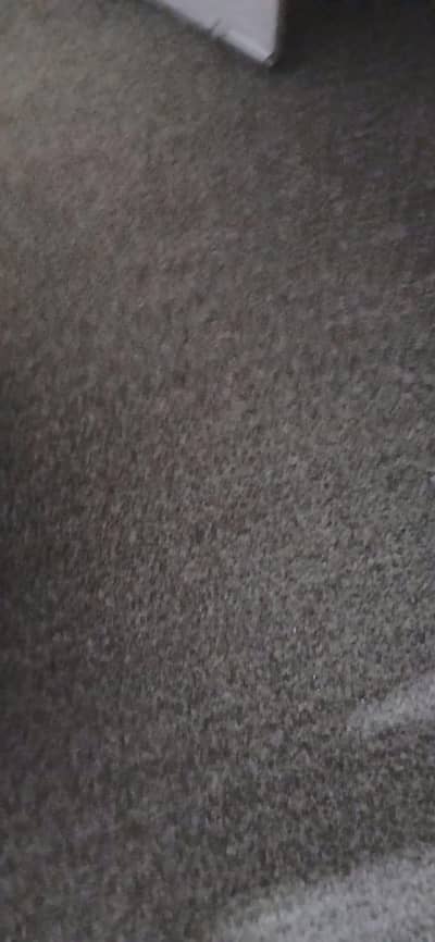 used carpet for sale 03125048735