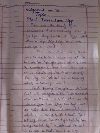 Handwritten AIOU BZU Assignments Service