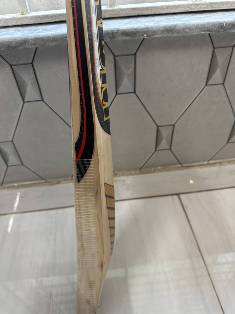 Cricket bat 3