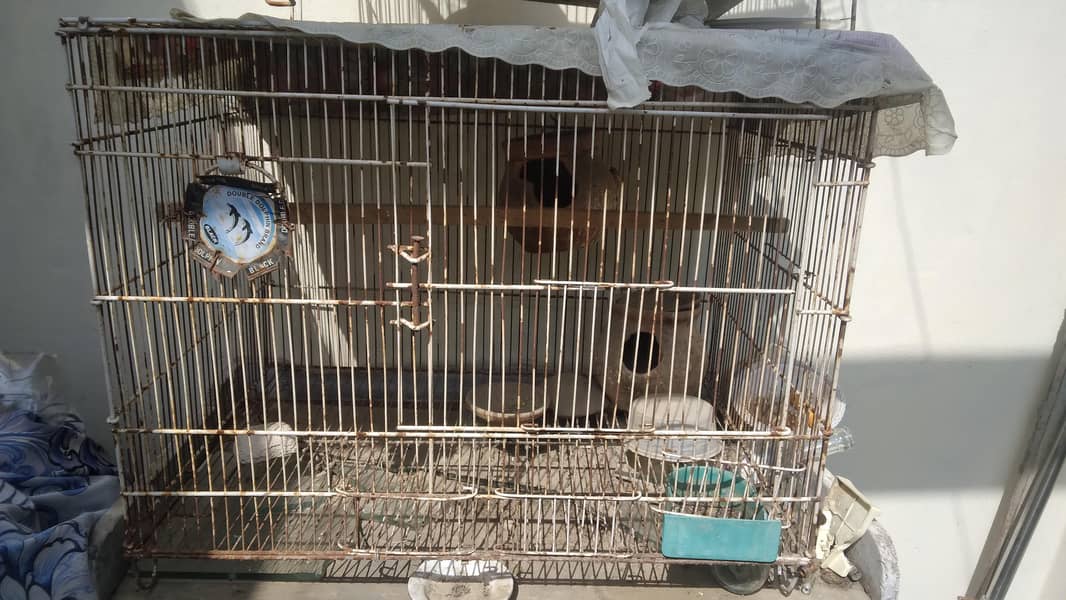 bird cage 0