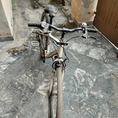 Japanese Cycle