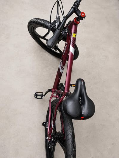 Japanese bicycle