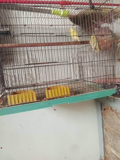 for sale