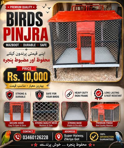 birds House