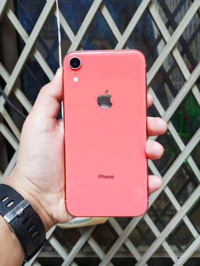 Apple iPhone XR