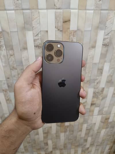 Apple iPhone 13 Pro Max