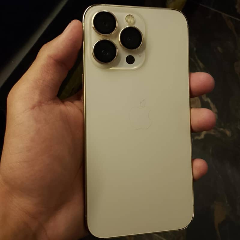 apple 1