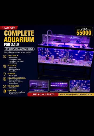 complete aquarium
