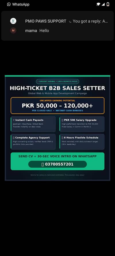 WE ARE HIRING: Remote B2B Sales Setters