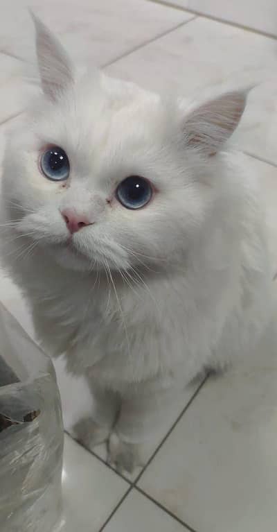Bahut cute hai or caring hai marti bilkul bhi nhi hai