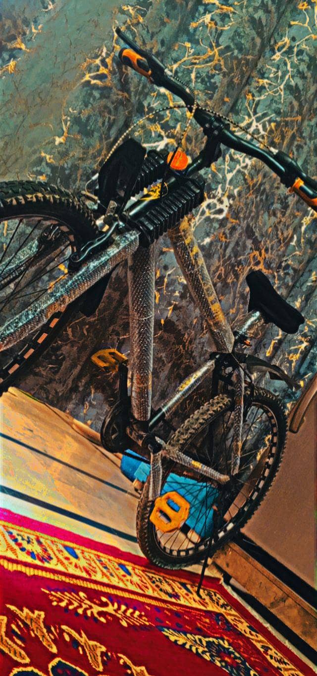 Bycycle 3
