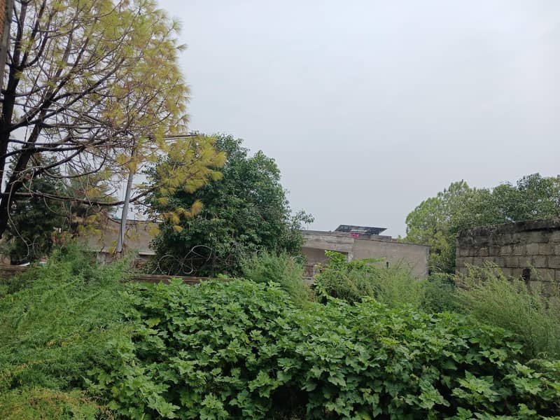 plot for sale 6