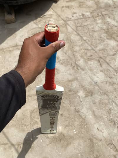 Fplus TM Edition Rawalakot Bat in Coconut Shape