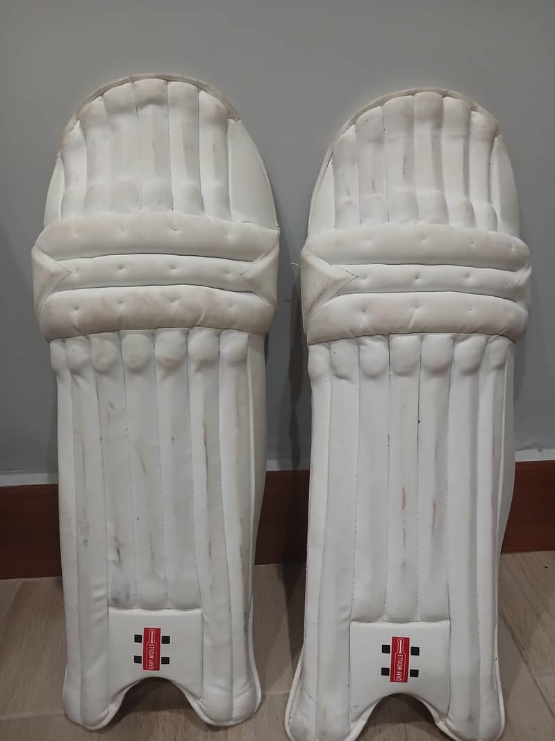 cricket kit 3