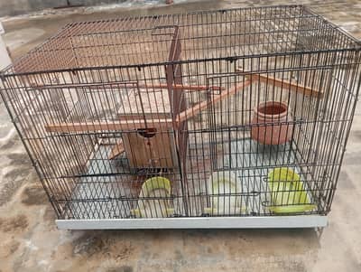 Parrot cage for sale