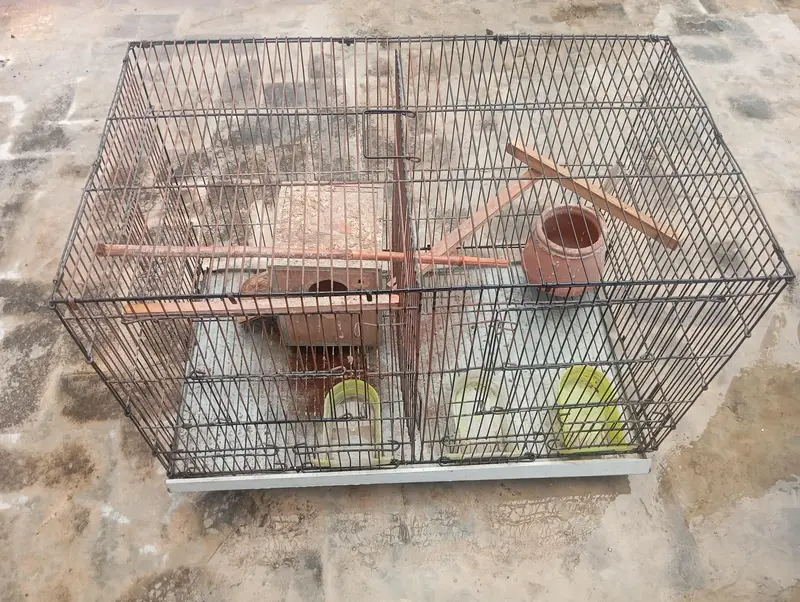 Parrot cage for sale — photo 2