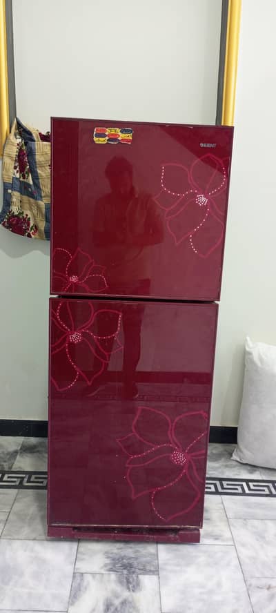 Orient Glass Door Fridge