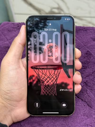 Apple iPhone 12 Pro Max