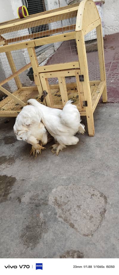 bandham chicken