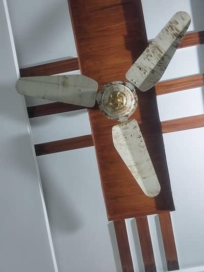 parwaz  Fan good Condition 48 inch