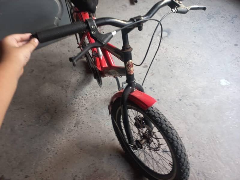 bicycle phoenix 0