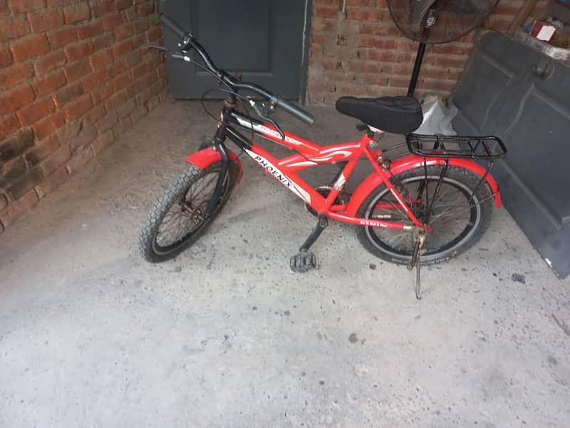 bicycle phoenix 1