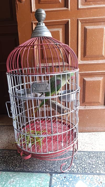 cages
