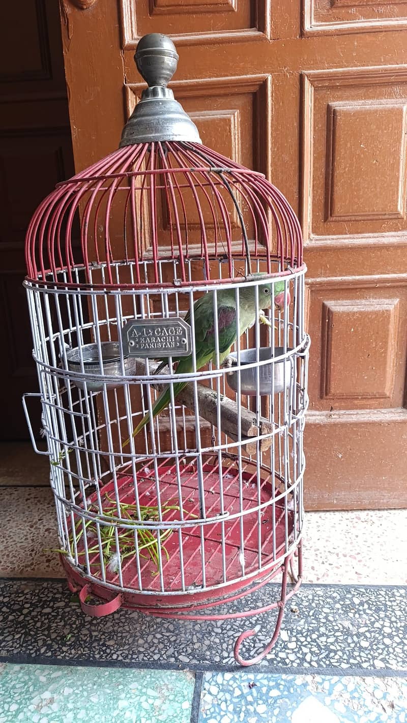 cages 0