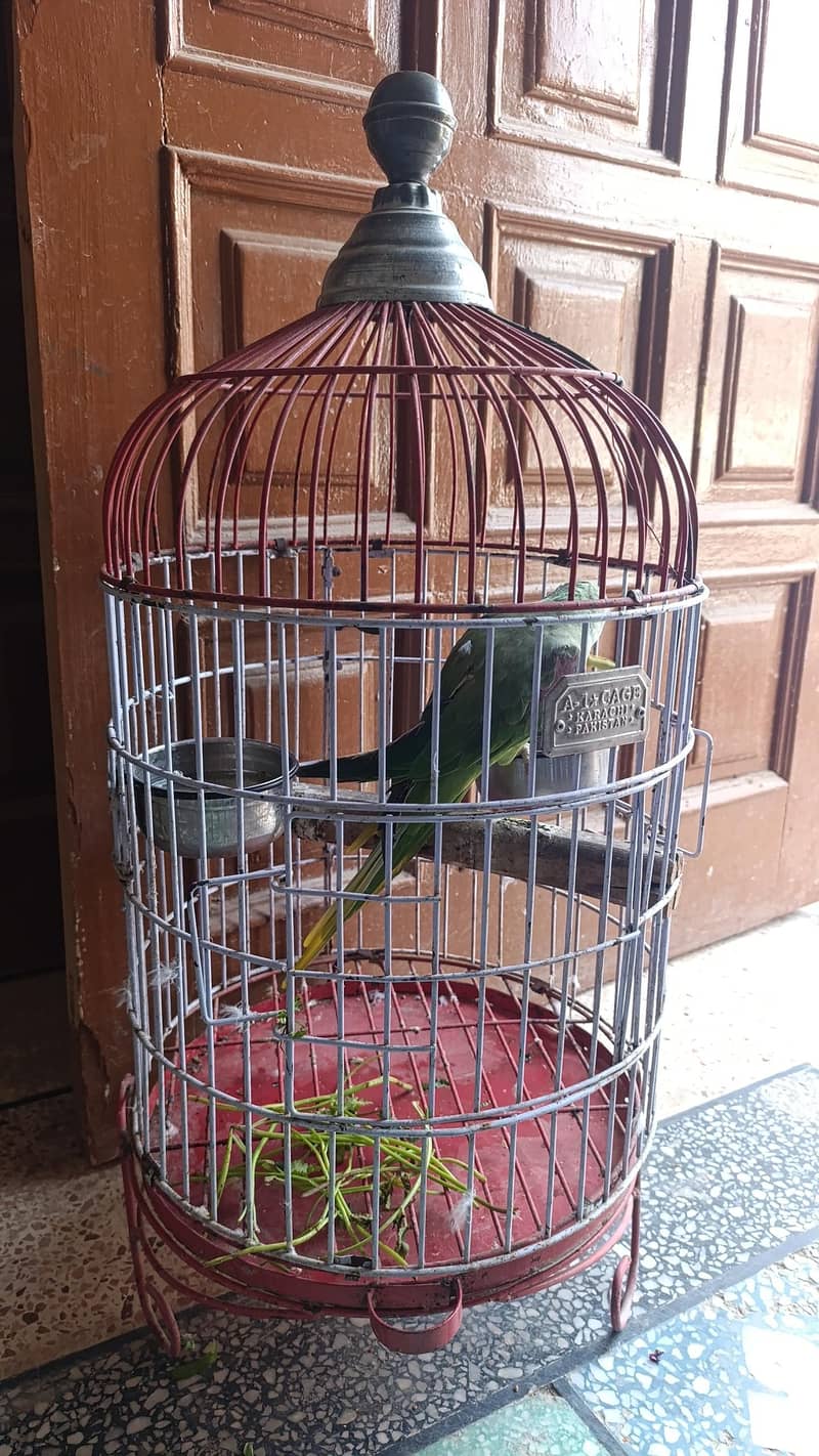 cages 1