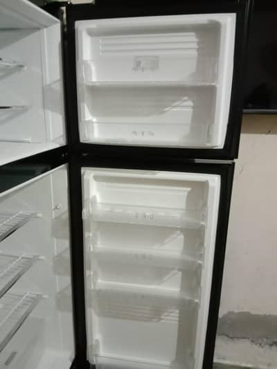 Pel Glass Door Refrigerator