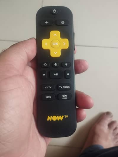 Roku / Now Remote