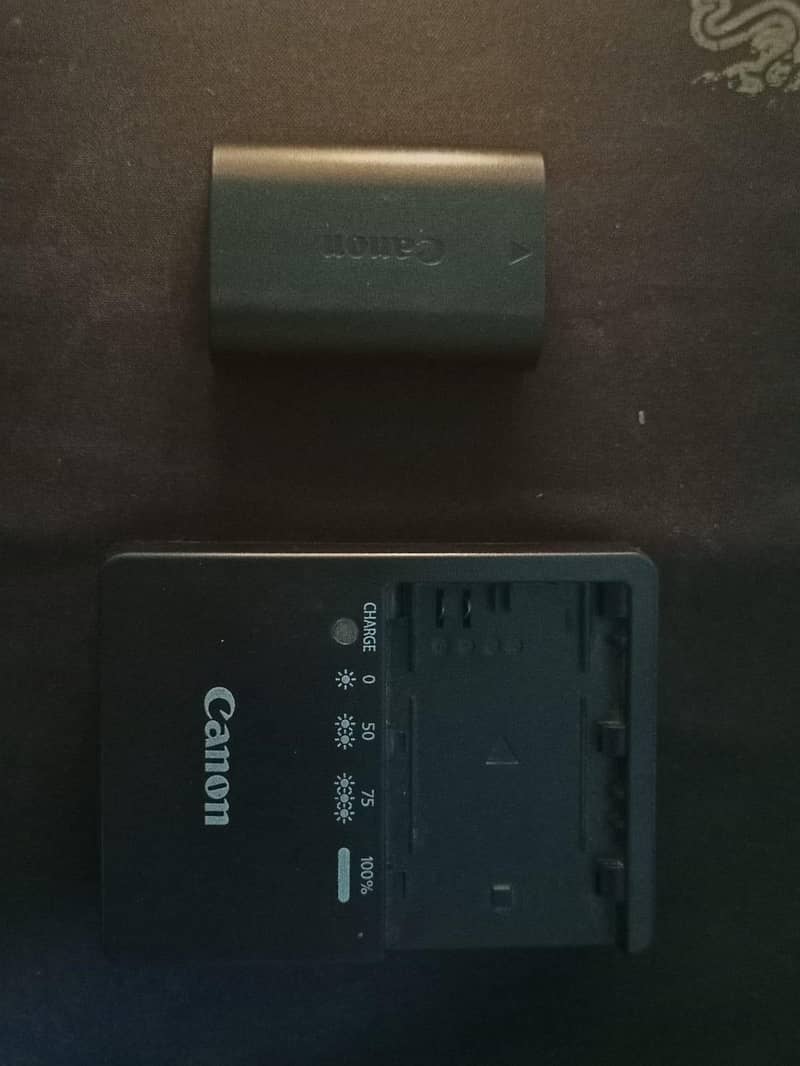 CANON EOS 60D 10