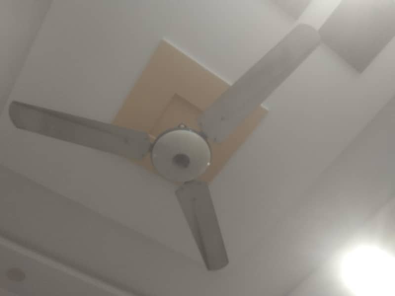 ceiling fen 1