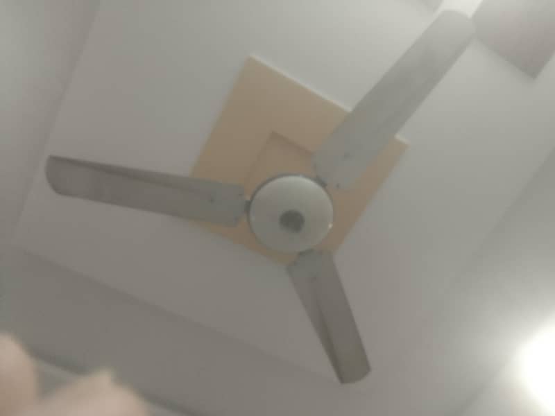 ceiling fen 2