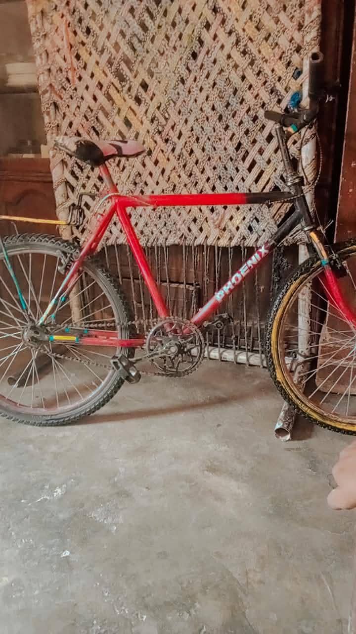 Bicycle 0