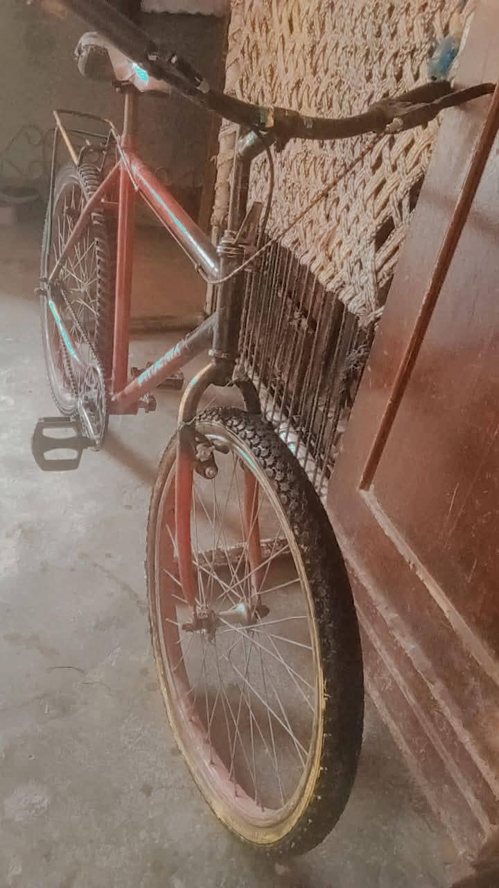 Bicycle 1